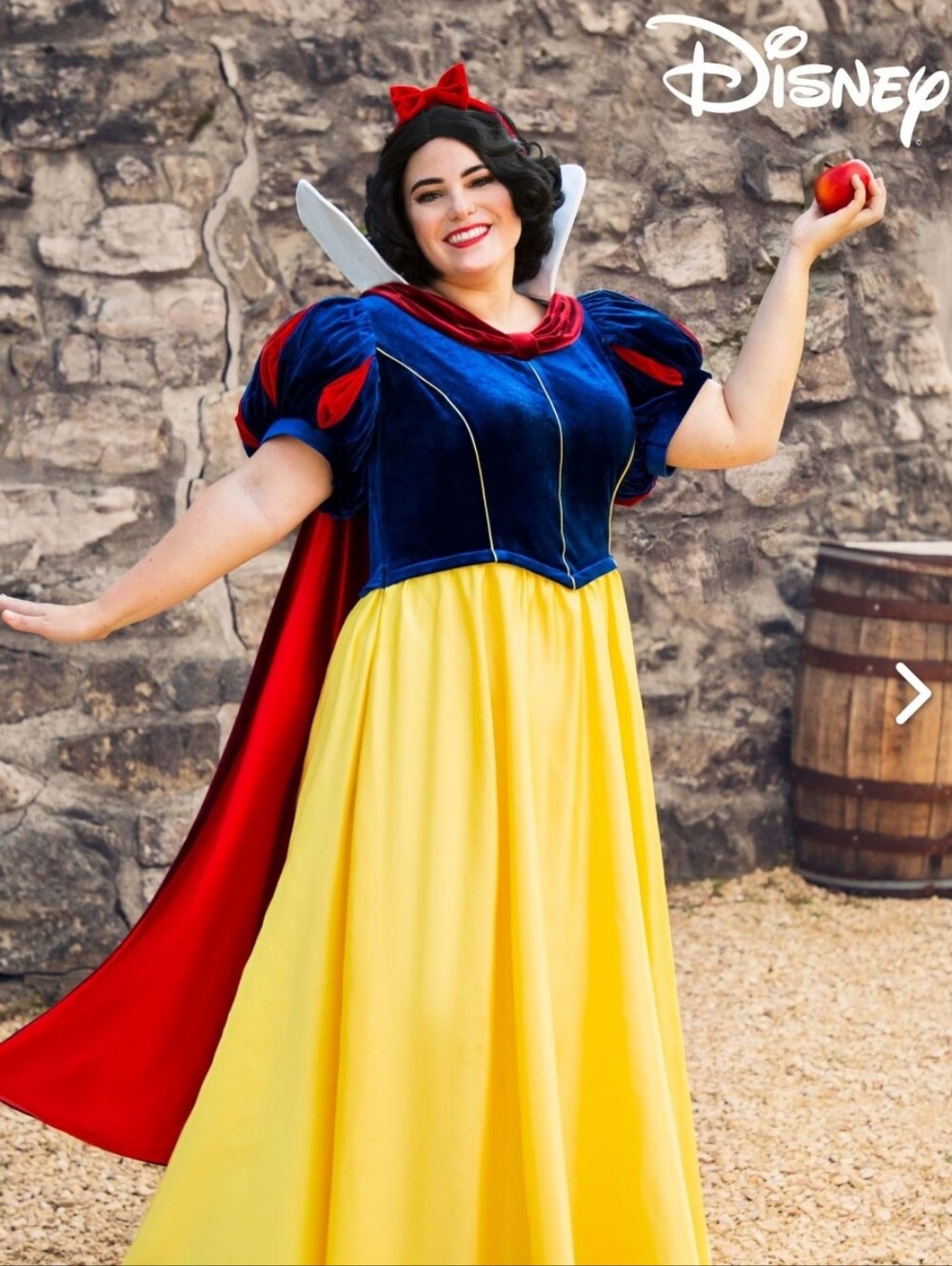 Disney Snow White Classic Yellow & Blue Plus size 4xl  Costume Euc worn once